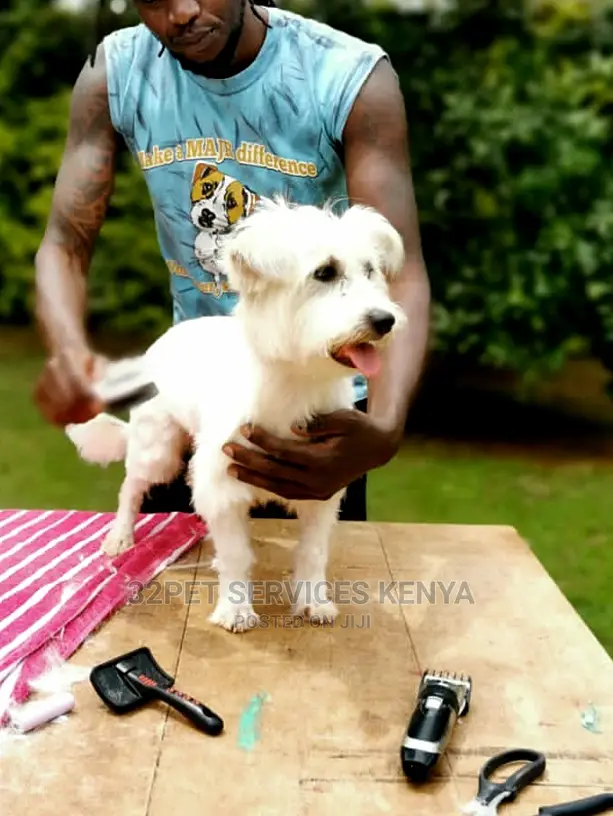 Professional Pet Grooming Services