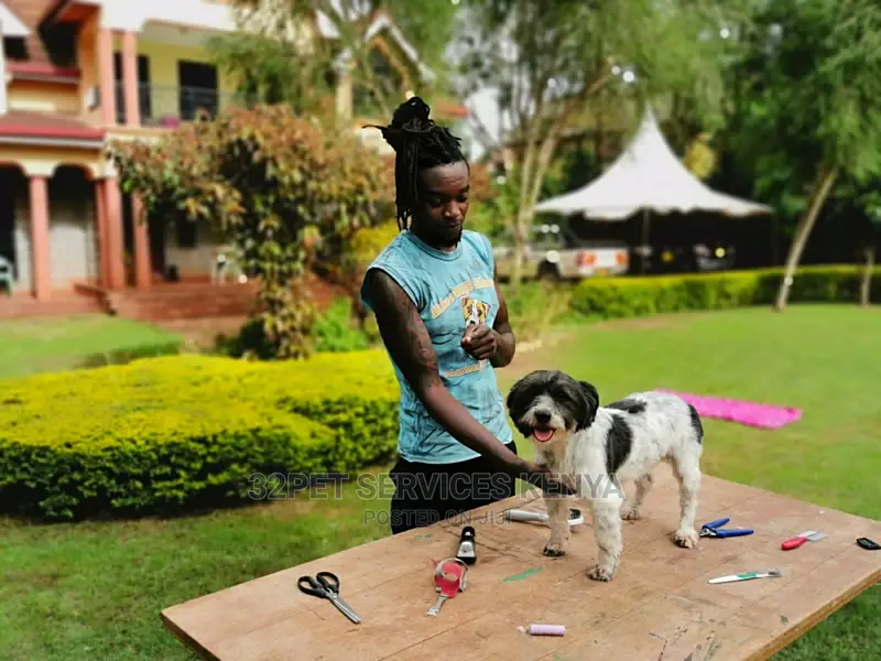 Professional Pet Grooming Services