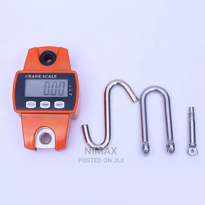 300kg Mini Crane Scale