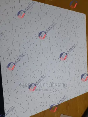 Acoustic Ceiling
