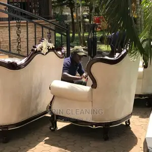Quick Dry Couch Cleaning in Westland