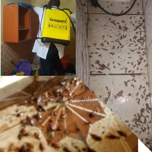 Perfect Fumigation in Kitengela