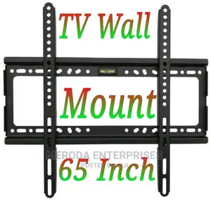 65 Inch TV Panel Wall Bracket Holder Protector