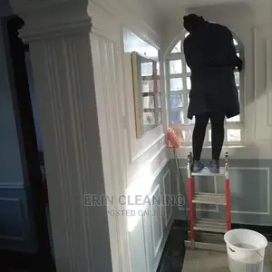 Window in Post Construction Cleaning