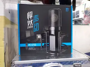 Takstar PC- Condenser Microphone