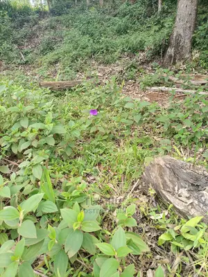 Karatina Prime Plots