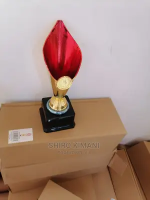Brand New Quality Trophies