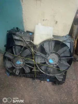 Escudo Radiator Complete