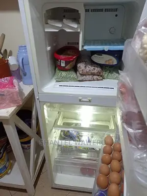 Samsung Double Door Fridge