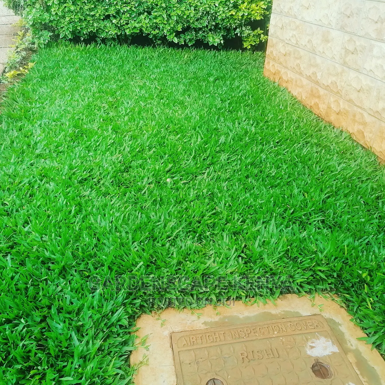 Garden Plants,Seeds,Trees, Fertilizers and Lawn Grass