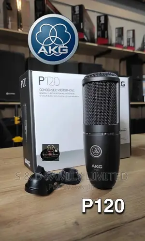AKG P120 Recording Microphone