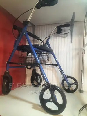 Patient Rollator
