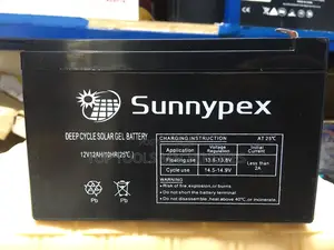 Sunnypex 12v/12ah Solar Gel Battery