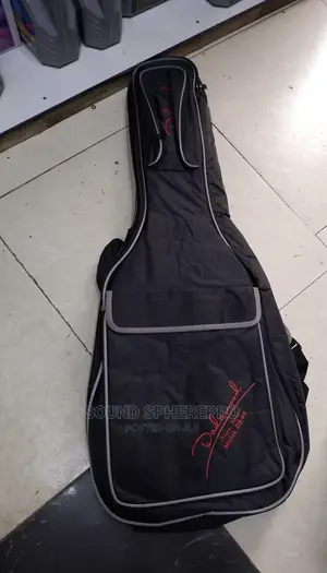 Padded Guitar Bag