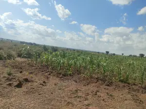 5 Acresrimuruti/Maudu Meri