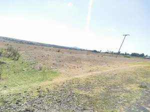 36 Acreslaikipia Makutano Main Tarmac
