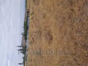 Malaa Plots Ready to Settle at 1.1mw^