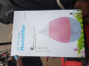 Air Purifying Humidifier
