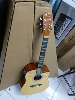 Semi Acoustic Fender Hqlty