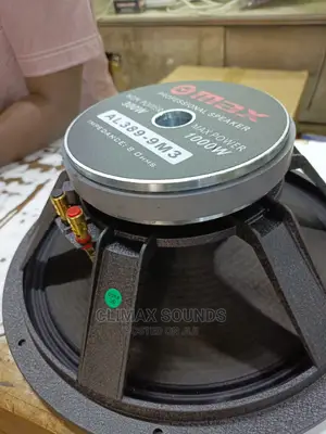 Max 15 Inches Naked Speaker
