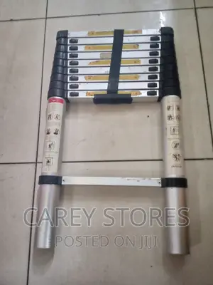 Telescopic Ladder