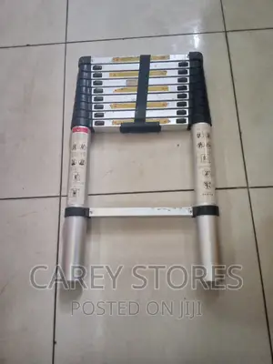 Telescopic Ladder