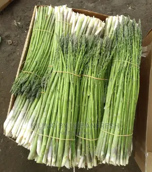 Fresh Premium Asparagus 500g 1kg 24hrs Delivery Time.