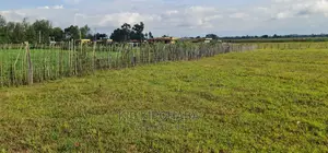 1⁄4 Plots for Sale in Kimumu Marura in Eldoret