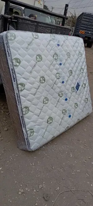 Orthopedic Spring 10inch Mattress