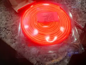 12v Dc Neon Snakelight 5m