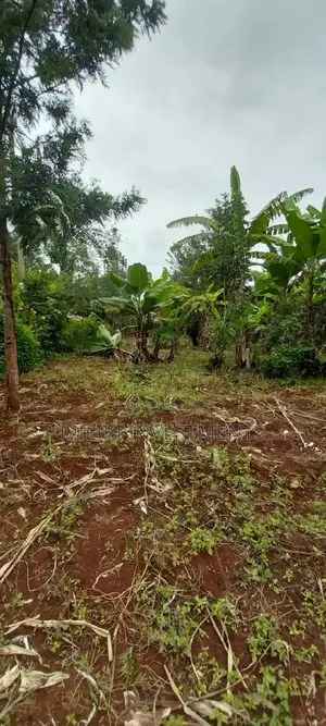 2 Acres of Land Available