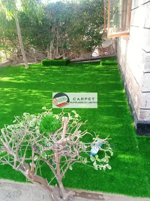 Grass Carpet
