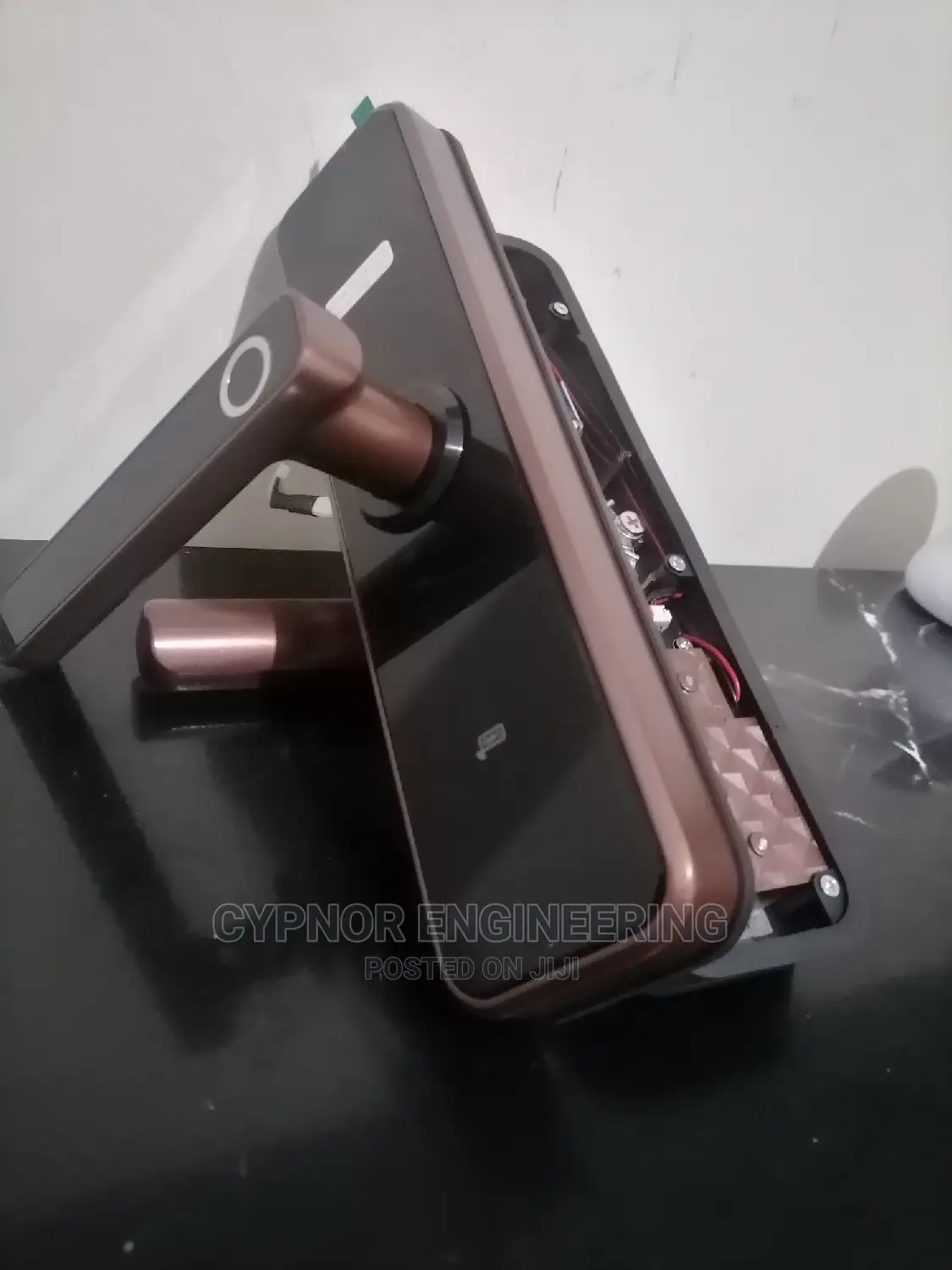 Tuya Biometric Door Locks