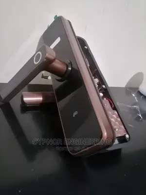Tuya Biometric Door Locks