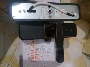 Intelligent Biometric Smart Locks for Ultimate Protection