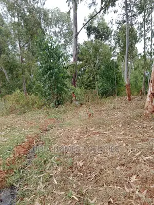 1 Acre Red Soil,At Yaitha, Machakos 1km From Tarmac