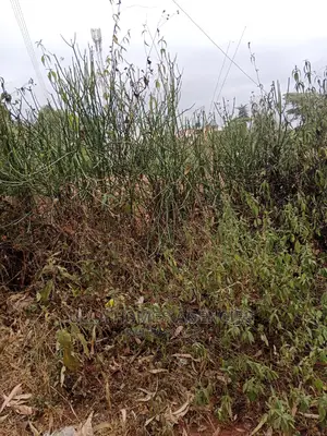 2 Acres at Lukenya,Quarry for Extracting Machine Cut,