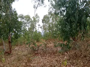 1 Acre at Vota Mkt,Machakos Well Accessible by Tarmac Road