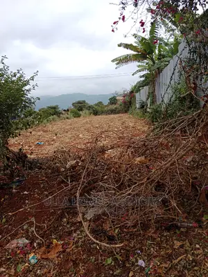 3 Acres Red Soil at Machakos,Kalama