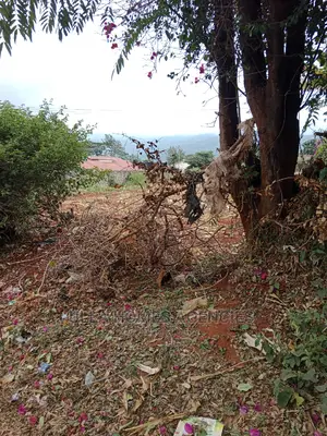 50 by 100 Plots at Malili,Opposite Tecno City Gate.