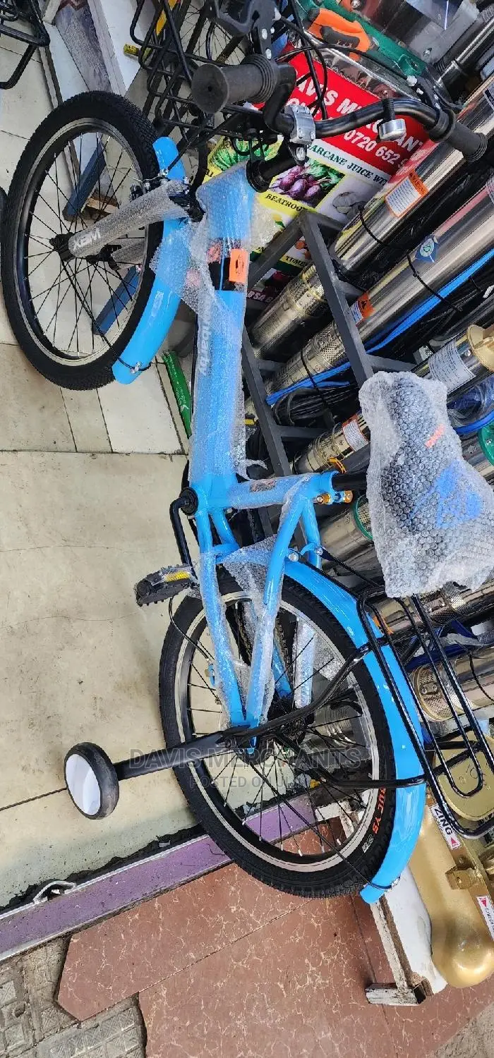 Bike Size 20 With Training Wheels