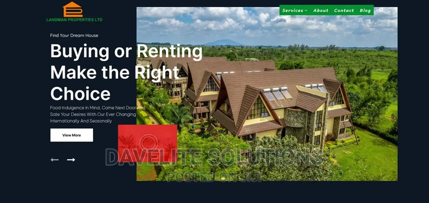 Real Estate Website Desind and Development + Doman, Hosting
