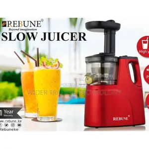 Rebune Original Heavy Commercial Slow Juicer Juice Extractor