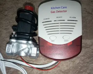 Gas and CO Leak Alarm With Valve