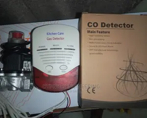 Combustible Gas Detector With Valve