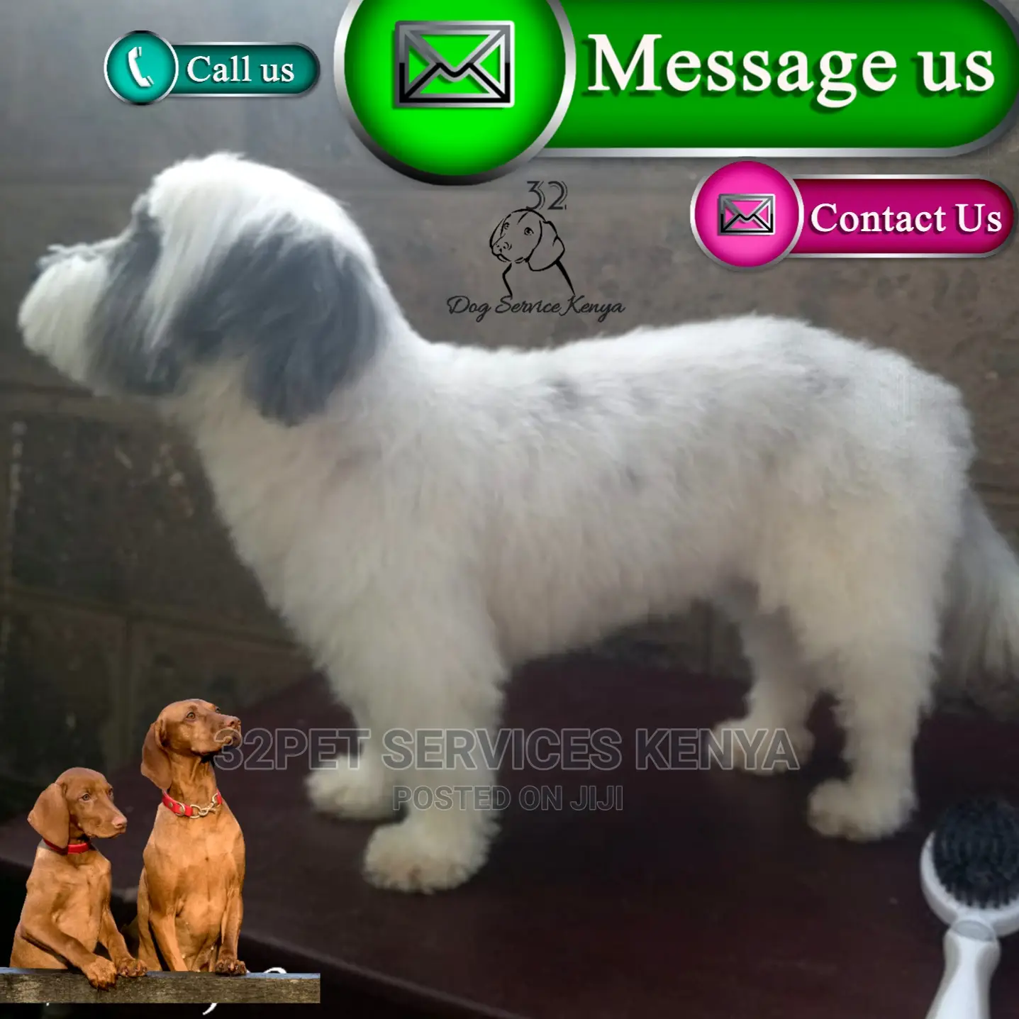 Professional Pet Grooming Services