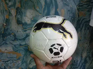 Puma Balls