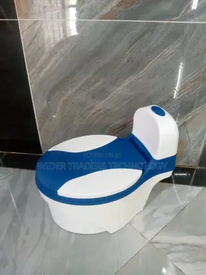 Toddler Potty Training Toilet