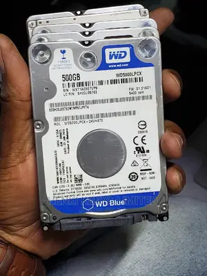 Western Digital Hard Disk With Windows 10.