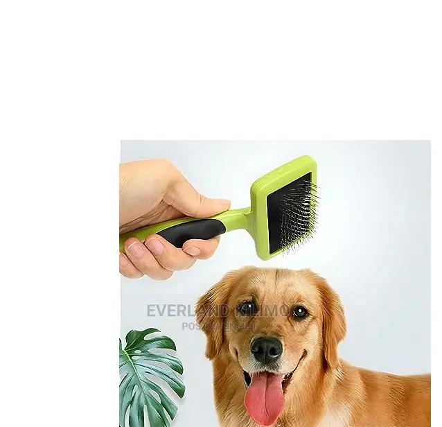 Cat Dog Regular Slicker Brush